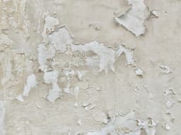 The Kiwi Guide to Sorting Out Peeling or Bubbling Paint