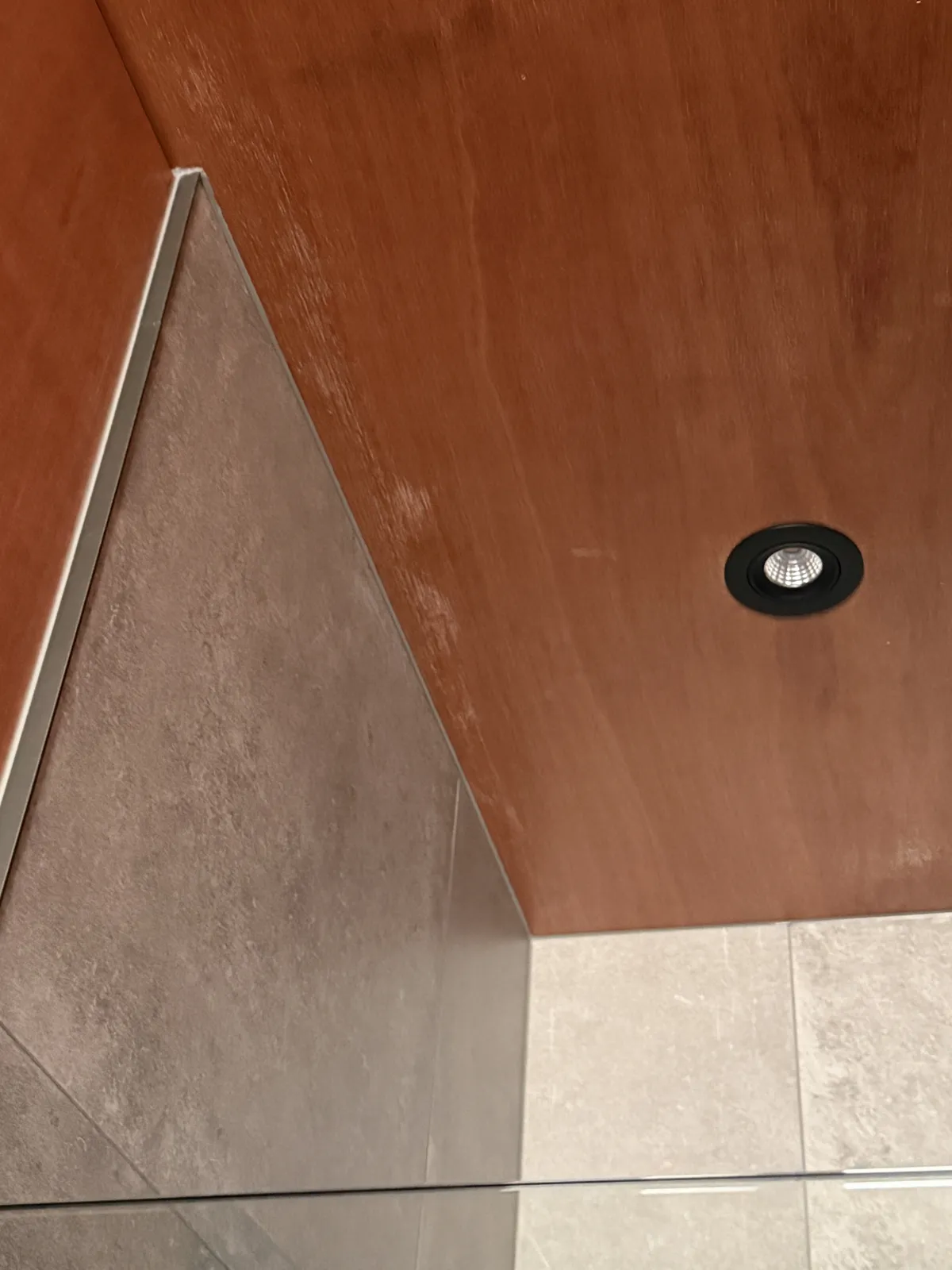 The ceiling above the shower, where steam had worn the coating the most